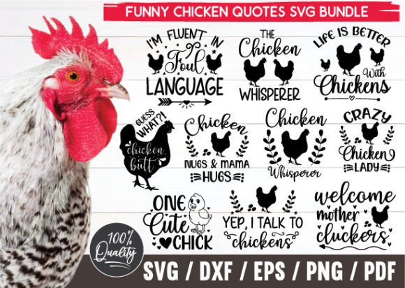 Funny Chicken Quotes Svg Bundle Review